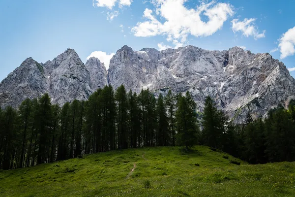 High mountain over trees and grass. — Stock Photo, Image