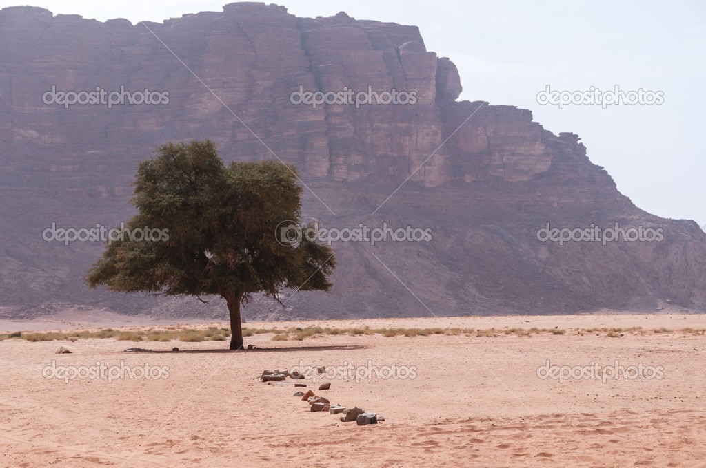 Wadi Rum desert.