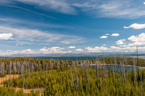 Landscape in Yellowstone NP. — Stock Photo, Image