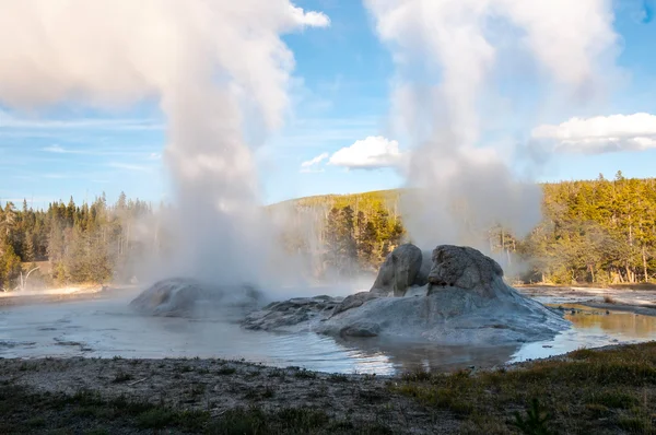 Gejzír a yellowstone. — Stock Fotó