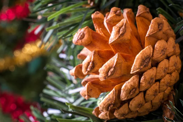 Cone de pinho na árvore de natal . — Fotografia de Stock