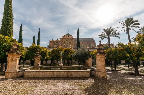 cordoba Ulu Camii.