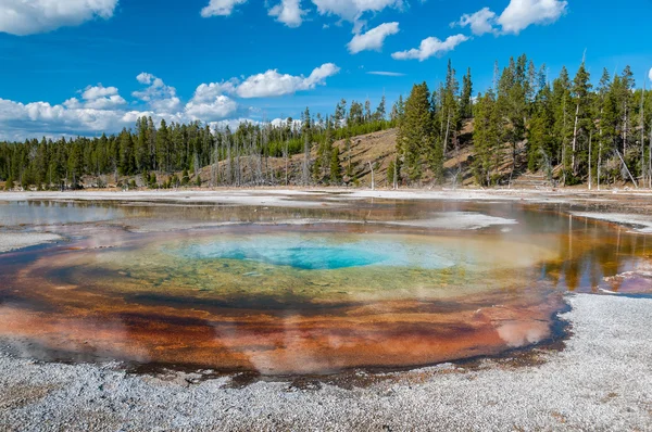 Colorful geothermal basin in Yellowstone NP — Stock Photo, Image