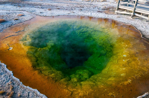 Manhã piscina glória, Yellowstone NP . — Fotografia de Stock