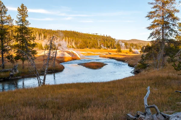 Weiden van de vallei van de rivier van lewis, yellowstone np. — Stockfoto