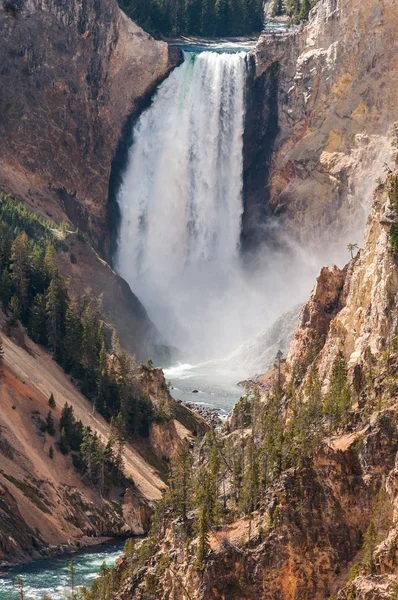 The Lower Falls, Yellowstone. — Stock Photo, Image