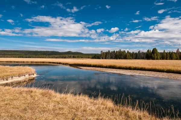 Lewis River in Yellowstone National Park. — Stock Photo, Image