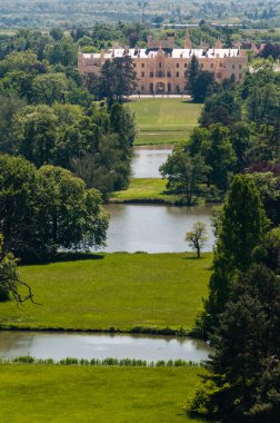 Nutria Europea sobre una roca.