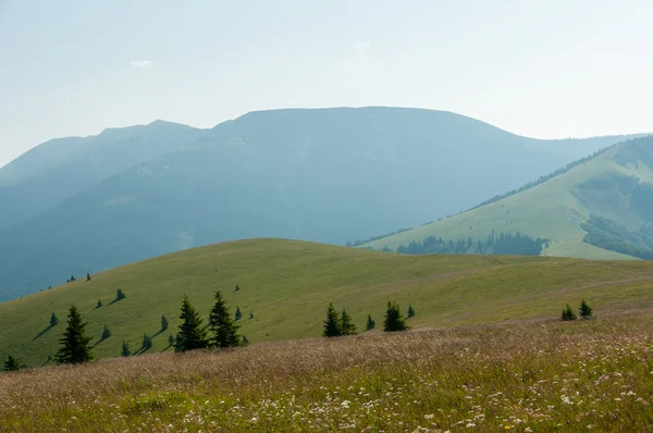 Verano montañas hierba verde y cielo azul paisaje. — Foto de Stock