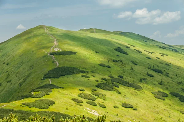 Sommar berg grönt gräs och blå himmel landskap. — Stockfoto