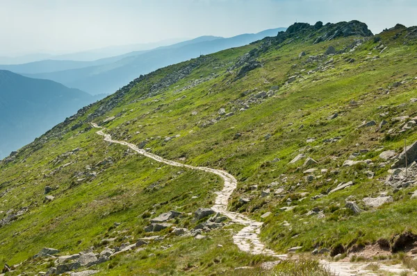 Yaz dağları yeşil çimenler ve mavi gökyüzü manzarası. — Stok fotoğraf