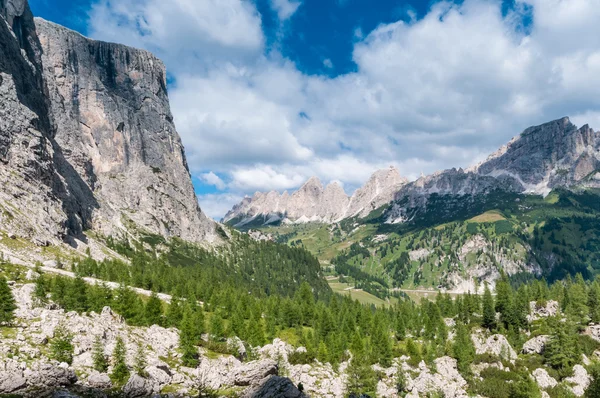 Typical valley in Italien Dolomites. — Stock Photo, Image