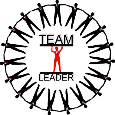Takım Lideri