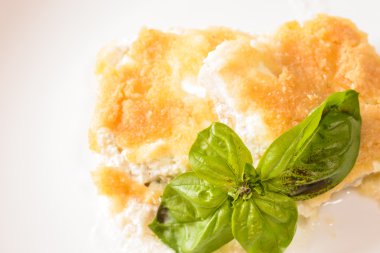 Kızarmış Balık filetosu