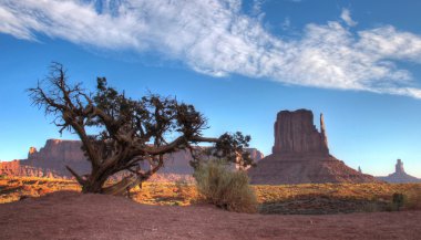Monument valley kuru ağacın arkasında