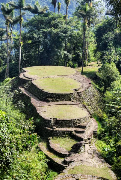 Terrasses principales de l'ancien site archéologique de Ciudad Perdida — Photo