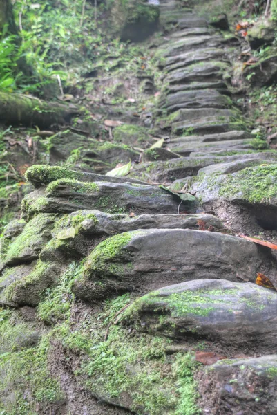 Indigenous stone stairs to Ciudad Perdida archeological site — Stock Photo, Image