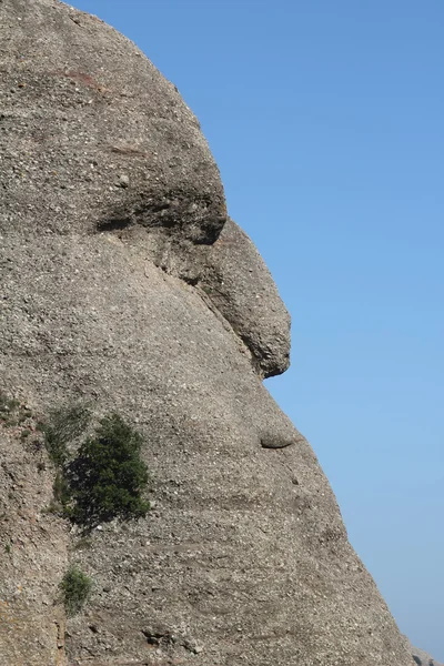 Montserrat taş içinde yüz - Stok İmaj