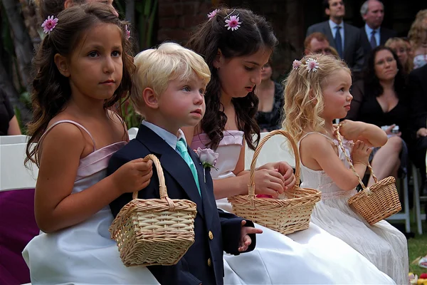 Bambini a un matrimonio Fotografia Stock