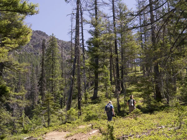 Femmes randonnées dans les montagnes — Photo