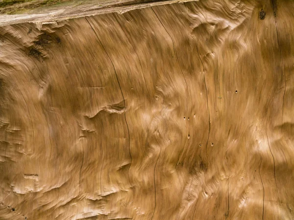 Natürlicher Holz-Hintergrund — Stockfoto