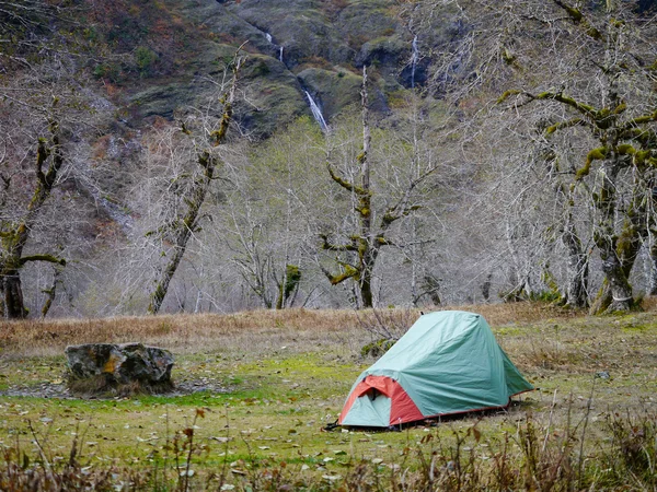 Палатка-одиночка — стоковое фото