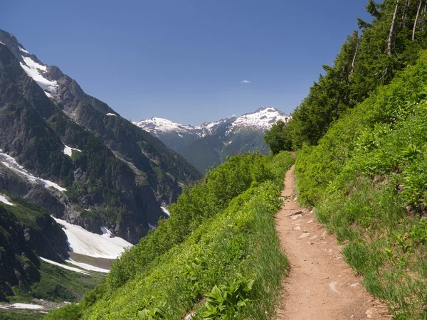 Mountain Hiking Trail — Stock Photo, Image