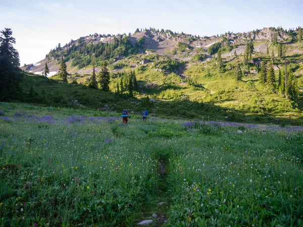 Female Backpackers in Field of Wildflowers — Stock Photo, Image