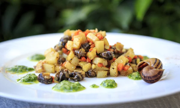 Escargot with Vegetables — Stock Photo, Image