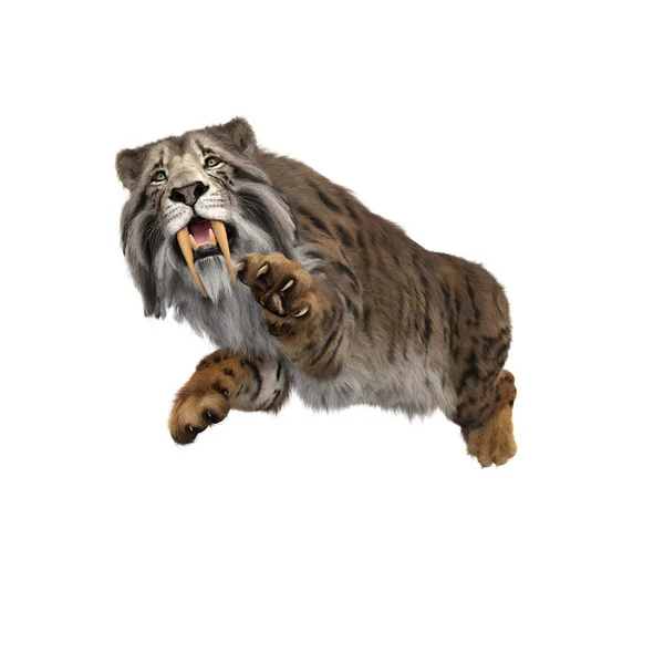 Illustratie Van Een Smilodon Uitgestorven Pre Historische Sabre Toothed Tiger — Stockfoto