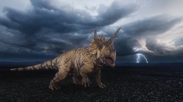 嵐雲と空の雷を持つ不毛の荒野の風景の白亜紀のトリケラトプス恐竜 3Dイラスト — ストック写真