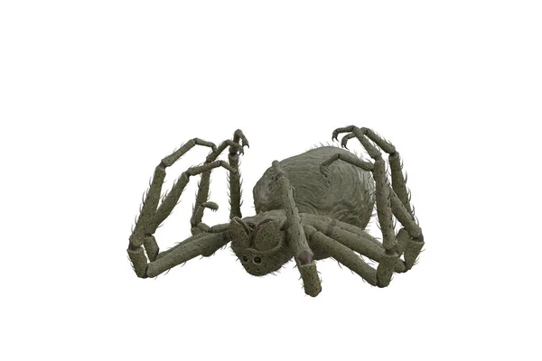 巨大的幻想怪物蜘蛛躺在地上死了 在白色背景上孤立的3D渲染 — 图库照片