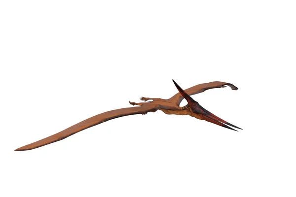 Pteranodon Gigante Dinossauro Réptil Voador Renderização Isolada Branco Com Caminho — Fotografia de Stock