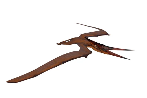 Pteranodon Dinosaurus Memancing Dengan Paruh Terbuka Tampilan Terisolasi Pada Warna — Stok Foto