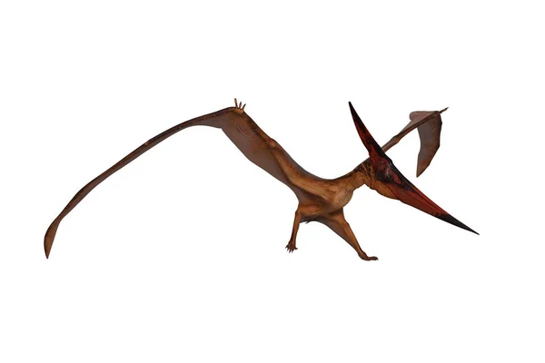 Pterandodon Dinoszaurusz Landolt Fél Lábbal Földön Renderelés Elszigetelt Fehér Nyírás — Stock Fotó