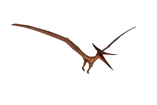 Pterandodon Dinosaurus Vlucht Met Snavel Wijd Open Rendering Geïsoleerd Wit — Stockfoto