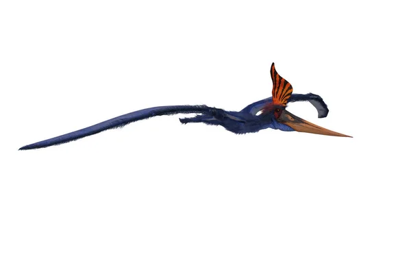 Pteranodon Azul Com Laranja Crista Preta Deslizando Renderização Isolada Branco — Fotografia de Stock