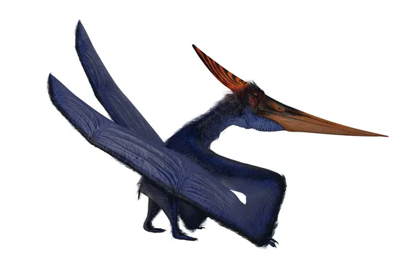 Blauer Pterandodon Dinosaurier Mit Orangefarbenem Kamm Beim Gehen Renderisolation Auf — Stockfoto