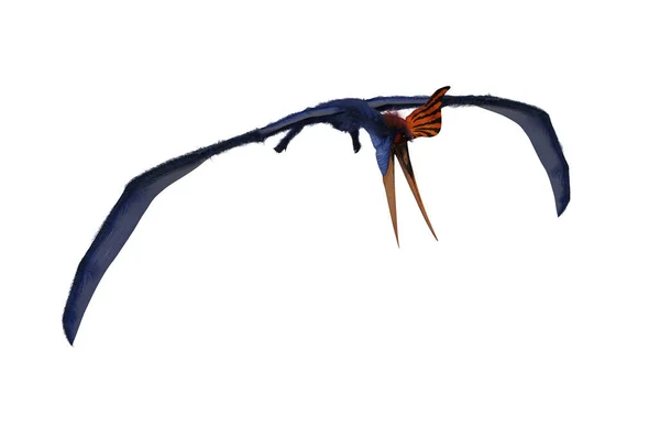 Blue Pteranodon Στην Πτήση Ψάχνει Για Φαγητό Καθιστούν Απομονωμένη Λευκό — Φωτογραφία Αρχείου