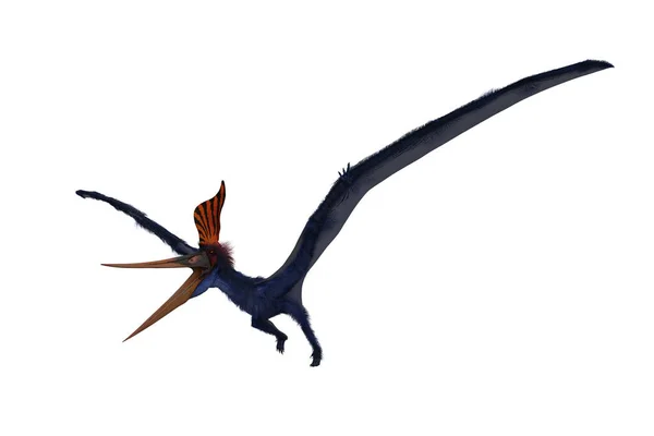 Pteranodon Azul Despegando Representación Aislada Blanco Con Ruta Recorte — Foto de Stock