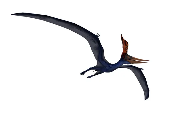 Blue Pteranodon Volo Visto Dal Basso Rendering Isolato Bianco Con — Foto Stock
