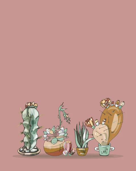 采购产品Cactus设计 彩色的卡通仙人掌 肉质植物集合 手绘轮廓 — 图库矢量图片