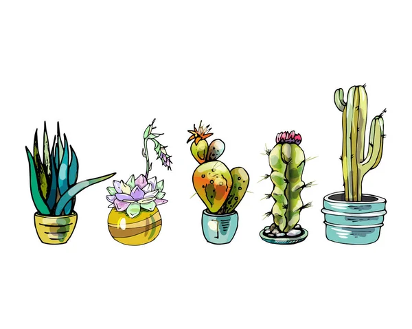 Set Cartoon Cactus — Vettoriale Stock