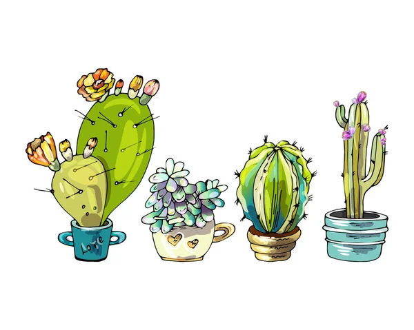 Set Cartoon Cactus Succulents — Stockvektor