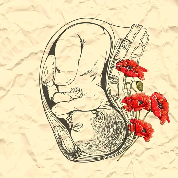 Pregnancy Sketch Red Poppies — стоковый вектор