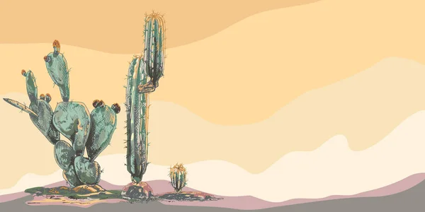 Fondo Desierto Cactus Fondo Horizontal Del Paisaje Del Desierto Alta — Vector de stock