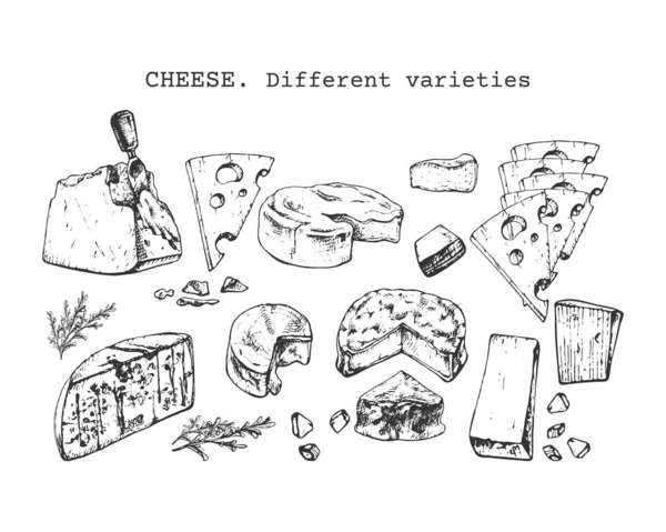 494 Chee Farklı Çeşitleri Sert Peynir Yumuşak Farklı Çeşitleri Dilimlenmiş — Stok Vektör