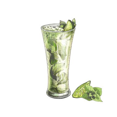 475 _ Kokteyl _ MINT _ Dondurma ve naneli, limonlu ve buzlu mojito kokteyli şeffaf bir bardakta, çizimde, vektörde, beyaz arka planda