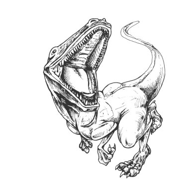 467 _ tyrannosaurus rex tyrannosaur rex açık ağızlı, siyah ve beyaz