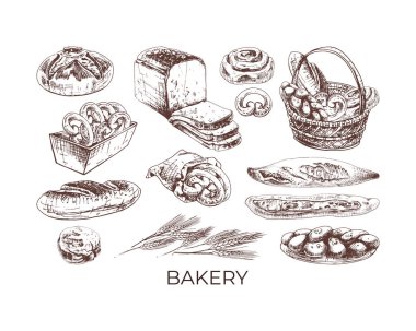 374 _ ekmek, sepet _ ekmek, grafikler, vektör pişirme seti: baget, çavdar ekmeği, ciabatta, çavdar, tahıl, kepek, tasarımınız için harika elementler, ev yemeği, sağlıklı yiyecek, ekmek sepeti, kutu,